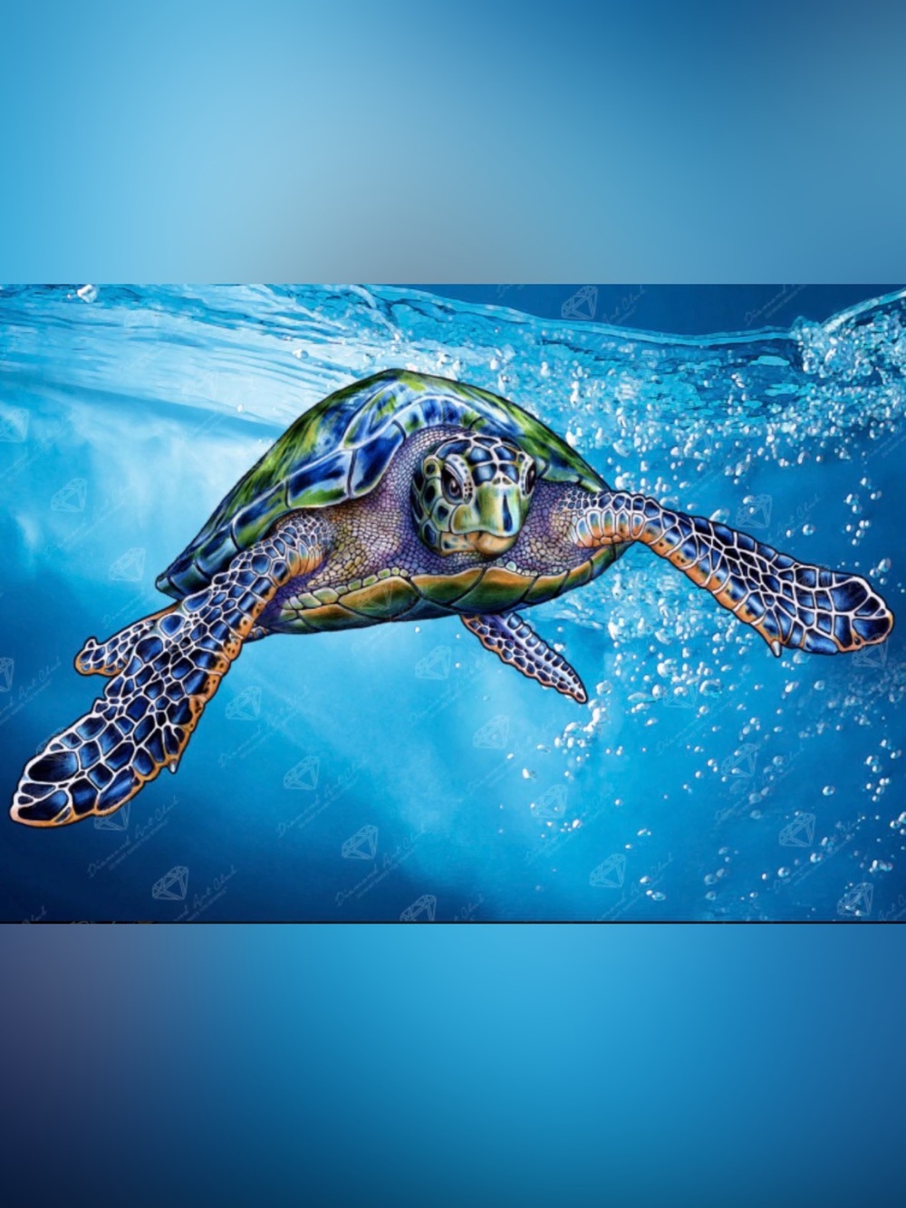 🐢 Rare Retired Diamond Art Club Green Sea Turtle Tim Jeffs Sealed